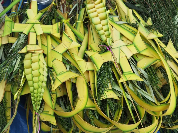 Palm Palm Pazar günü tipik dekore edilmiş — Stok fotoğraf