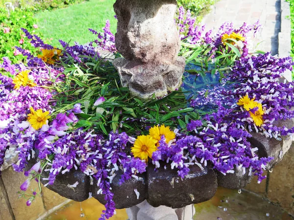 Lavendel und Sonnenblumen — Stockfoto