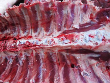 Ham alpaka kaburga eti kapatın 