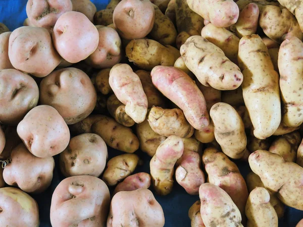 Peruvian Potatoes and Olluquito background — Stock Photo, Image