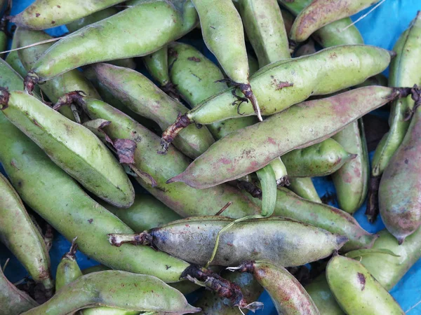 Frische grüne Bohnen — Stockfoto