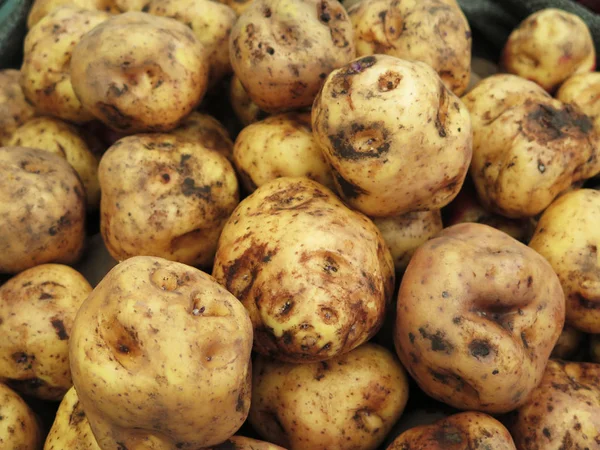 Peruvian Potatoes background — Stock Photo, Image