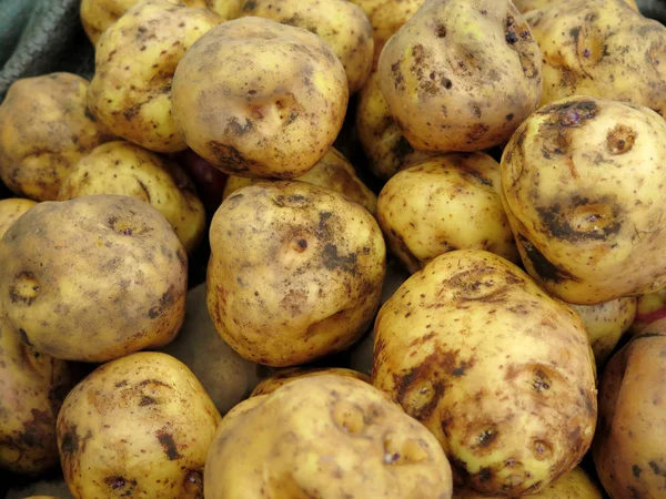 Peruvian Potatoes background — Stock Photo, Image