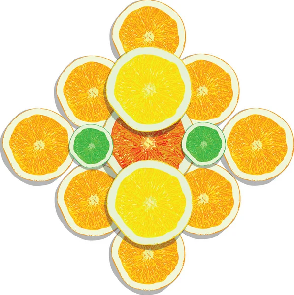 Fette di limone, arancia, lime, pompelmo su fondo bianco — Vettoriale Stock