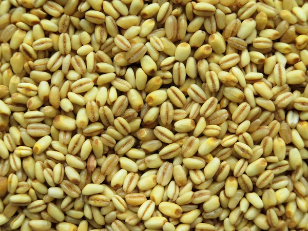 Closeup of Heap of raw wheat Background — Stock Photo, Image
