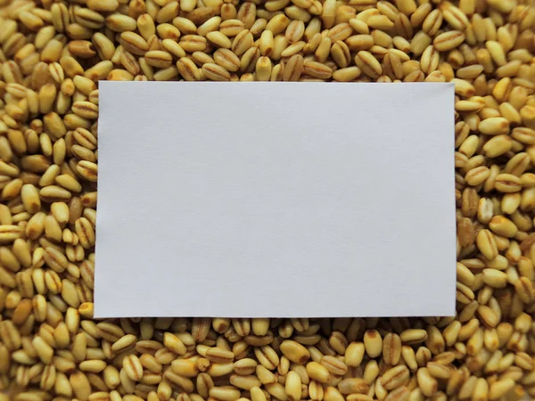 特写的白色标签上堆的原料小麦背景 — 图库照片