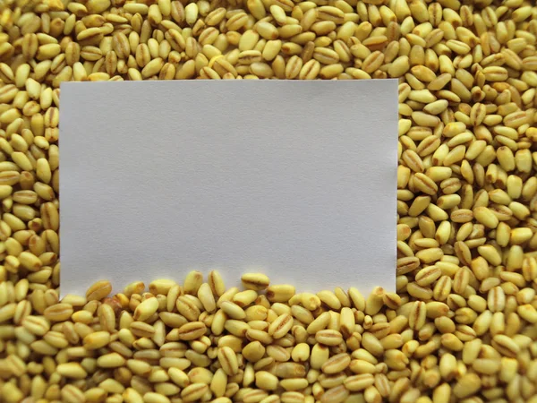 特写的白色标签上堆的原料小麦背景 — 图库照片