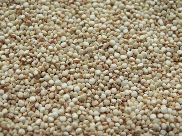 portre Raw Kuskus Kuskus irmik 