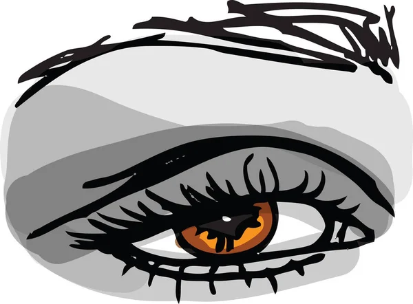 Рисунок женского глаза — стоковый вектор