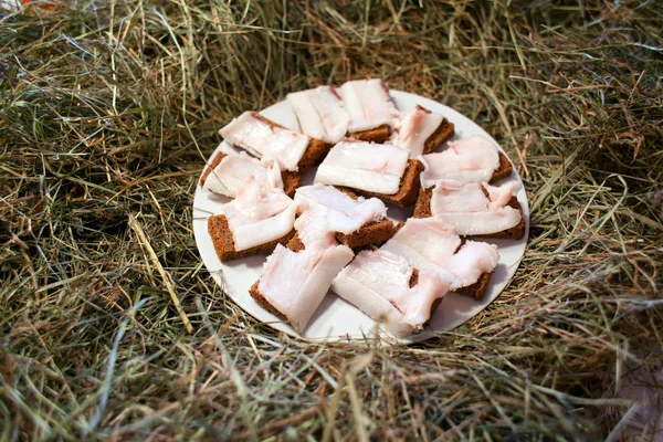 Salted pork fat and rye bread. table covered with hay