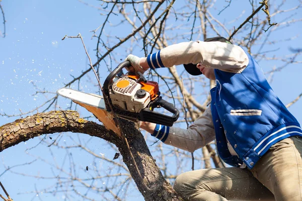 Hombre Podando Ramas Árboles Frutales Trabajo Jardín Del Hogar — Foto de Stock