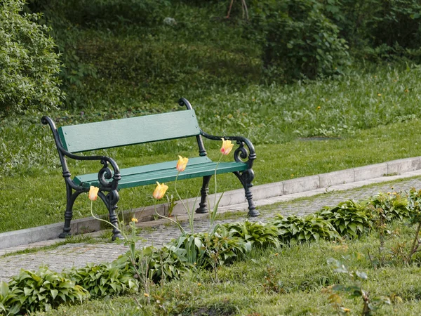 A wooden bench with yellow tulips in a spring garden — Stock Photo, Image
