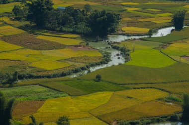  Ngoc Con komün, Trung Khanh bölgesi, Cao Bang Eyaleti, Vietnam, pirinç mevsiminde şafakta güzel sahne.