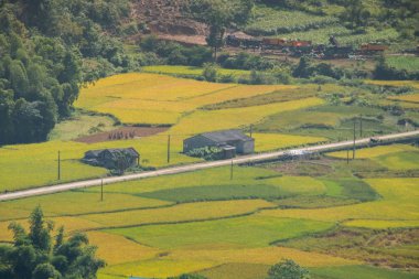 Ngoc Con komün, Trung Khanh bölgesi, Cao Bang Eyaleti, Vietnam, pirinç mevsiminde şafakta güzel sahne.