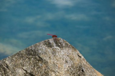 Yusufçuk Cao Bang Eyaleti, Vietnam.