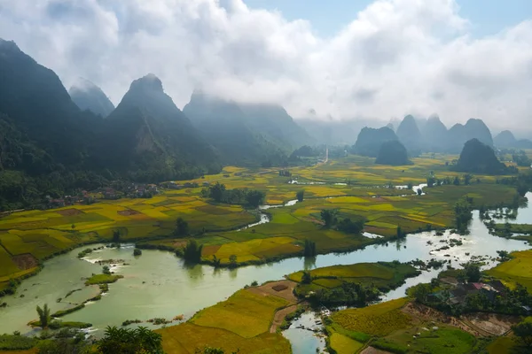 Beautiful scenery at the dawn of rice season in Ngoc Con commune, Trung Khanh district, Cao Bang province, VietNam. — Stock Photo, Image