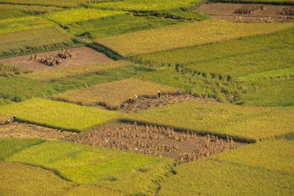 Schöne Landschaft zu Beginn der Reissaison in der Gemeinde ngoc con, Bezirk trung khanh, Provinz cao bang, Vietnam. — Stockfoto