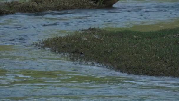 Banyue eller förbud gioc vattenfall längs vietnamesiska och kinesiska styrelse. — Stockvideo