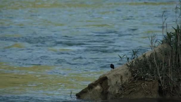 Cascata di Banyue o Ban Gioc lungo il bordo vietnamita e cinese . — Video Stock