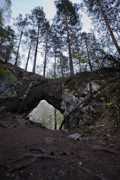 山の森の中の石の洞窟 — ストック写真