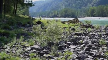 dağ nehir kıyısında 