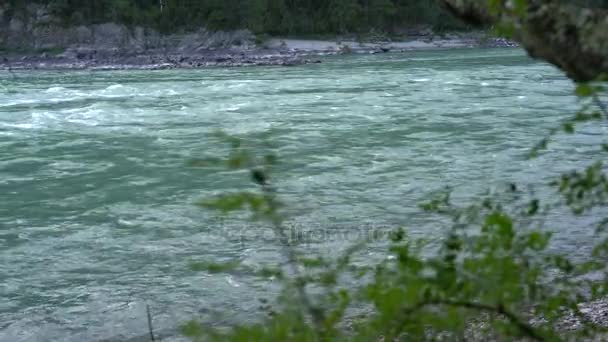 Una fuerte corriente de un río de montaña — Vídeos de Stock