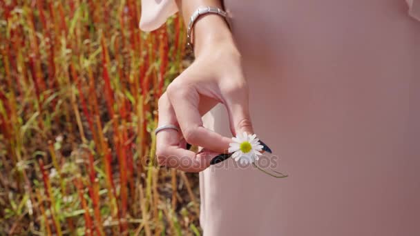Weibliche Hand verdreht Finger mit einer Blume — Stockvideo