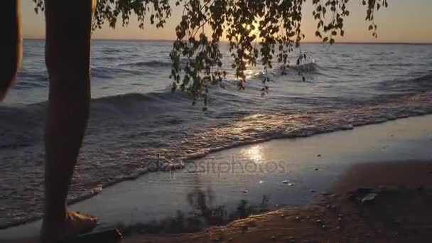 La chica camina por la playa al atardecer . — Vídeo de stock