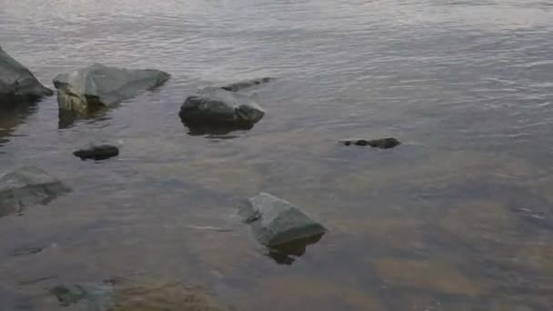 Pedras lavadas por água na costa — Vídeo de Stock