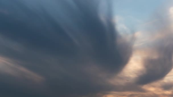 Le ciel du soir avec des nuages volants. Beaucoup d'insectes et de poussière volent dans l'air . — Video