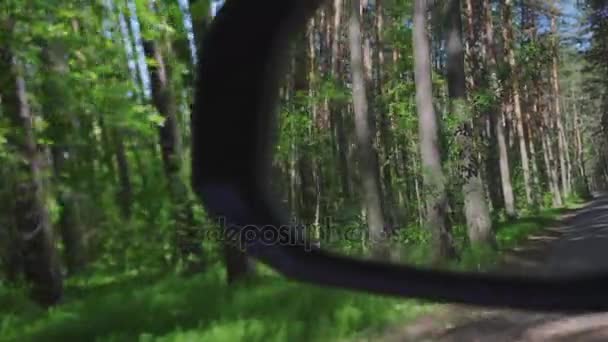 En el espejo retrovisor del coche refleja el bosque . — Vídeo de stock