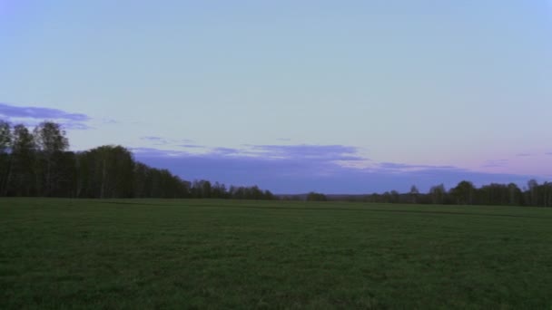Champ vert sur fond de coucher de soleil rose-violet .