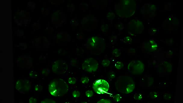 在圆水晶上运行绿灯 激光在玻璃中发光 — 图库视频影像