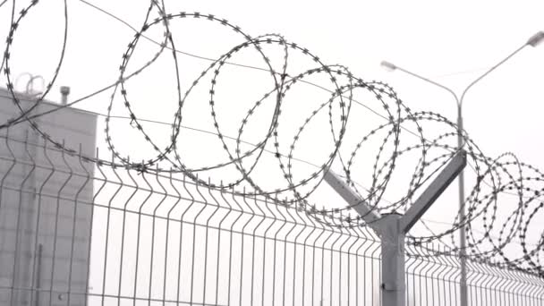 актер в роли егозы 8 букв сканворд. проволока пбб "егоза" 500. петля из колючей проволоки. барьер безопасности спиральный сбб акл 500/50/3. козырьковое заграждение кзр-125.