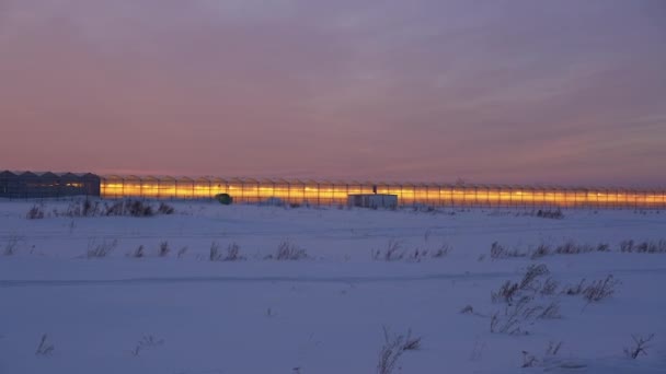 Świecące Szklarnie Środku Pola Zimie Tle Zachodu Słońca — Wideo stockowe