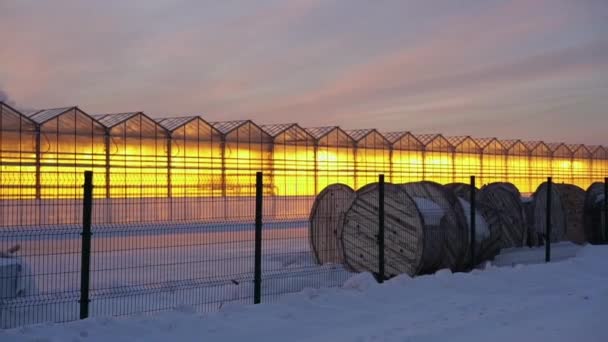 Invernaderos Brillantes Contra Telón Fondo Una Puesta Sol Invierno — Vídeo de stock