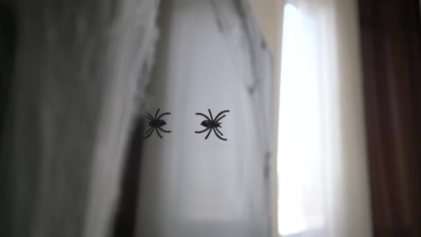 Juguete Araña Colgando Una Tela Araña Una Habitación Primer Plano — Vídeos de Stock
