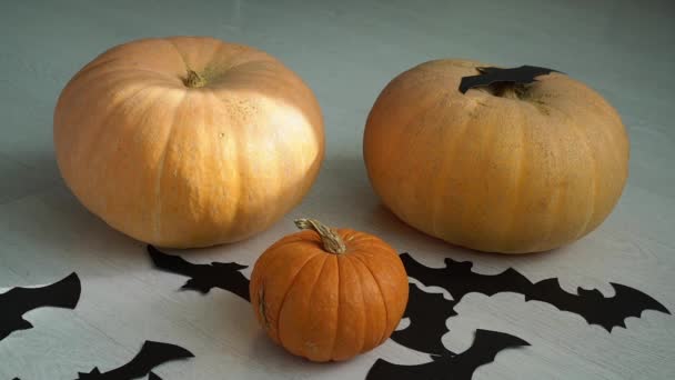 Tres Calabazas Yacen Suelo Murciélago Papel Cae Sobre Ellas — Vídeo de stock