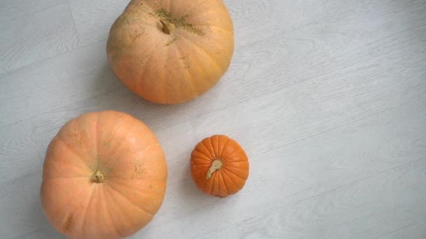 Three Pumpkins White Wooden Floor Top View — Stock Video