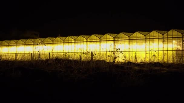黑暗中发黄的温室 — 图库视频影像