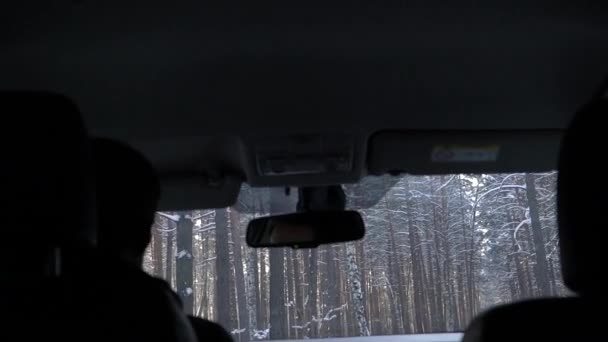 沿着森林路上开车旅行 从后座上看 — 图库视频影像