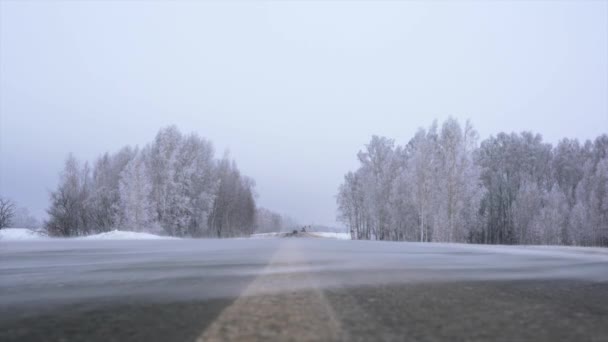 Viento Sopla Nieve Largo Carretera — Vídeos de Stock