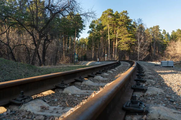 Eisenbahnschienen Aus Nächster Nähe Vor Dem Hintergrund Des Waldes — Stockfoto