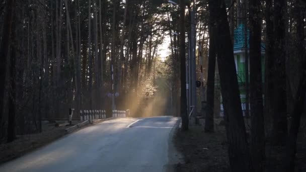 Stralen Van Licht Verlichten Een Spoorwegovergang Het Bos Mooi Licht — Stockvideo