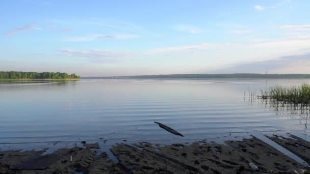 Небольшая Рябь Реке Пейзаж Берега Водная Поверхность Голубым Небом Портативная — стоковое видео