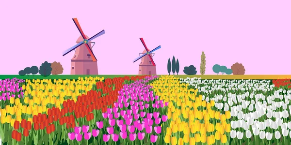 Векторная иллюстрация пейзажа с голландскими тюльпанами и ветряными мельницами. Для дизайнерских плакатов и поздравлений . — стоковый вектор