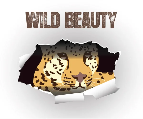 Vektorrajz egy gyönyörű vad leopárdról. Szörnyeteg tépett papír háttér — Stock Vector