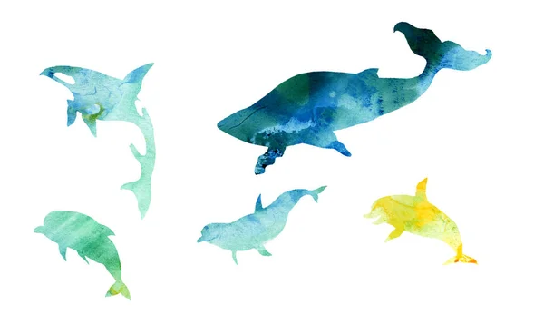 Silhuetas Aquarelas Baleias Golfinhos Para Desenhos Cartões Ilustrações — Fotografia de Stock