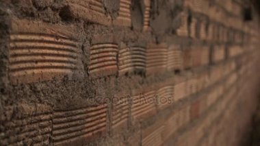 Parmak izi makro insan vücudu