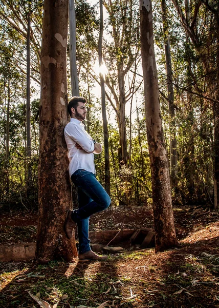 Çocuk ağaca yaslanıyor. 